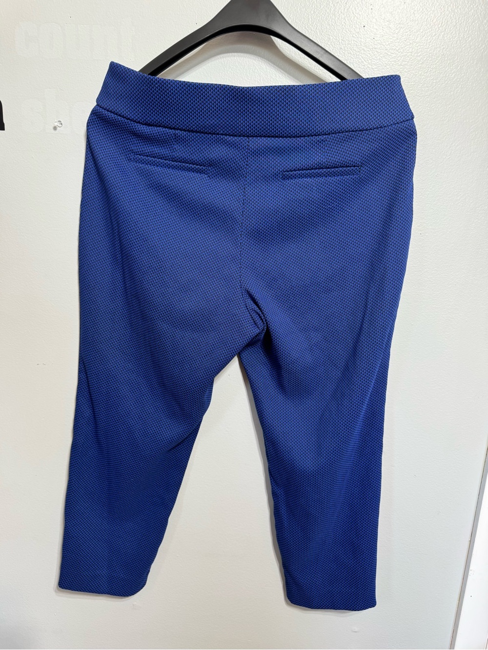 Apt 9 Essentials Women's Royal Blue Textured Ankle Pants - Picture 3 of 11